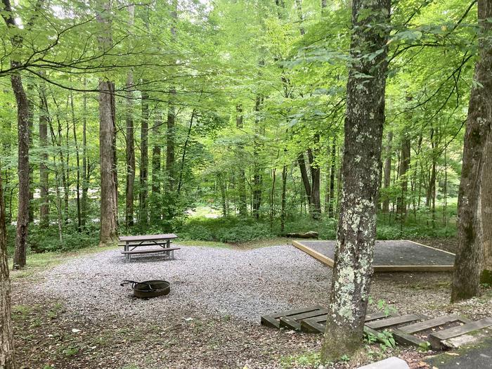 A front photo of Site A10 of Loop A-Loop at COSBY CAMPGROUND with Picnic Table, Fire Pit, Tent PadCloser view of the site