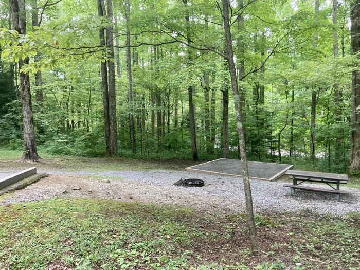 A  side view photo of Site A11 of Loop A-Loop at COSBY CAMPGROUND with Picnic Table, Fire Pit, Tent PadSide view