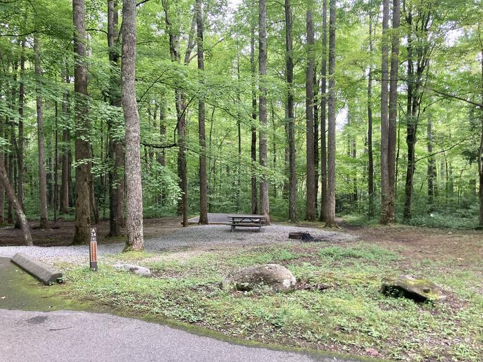 An area photo of Site A14 of Loop A-Loop at COSBY CAMPGROUND with Picnic Table, Fire Pit, Tent PadFront of the site from the road
