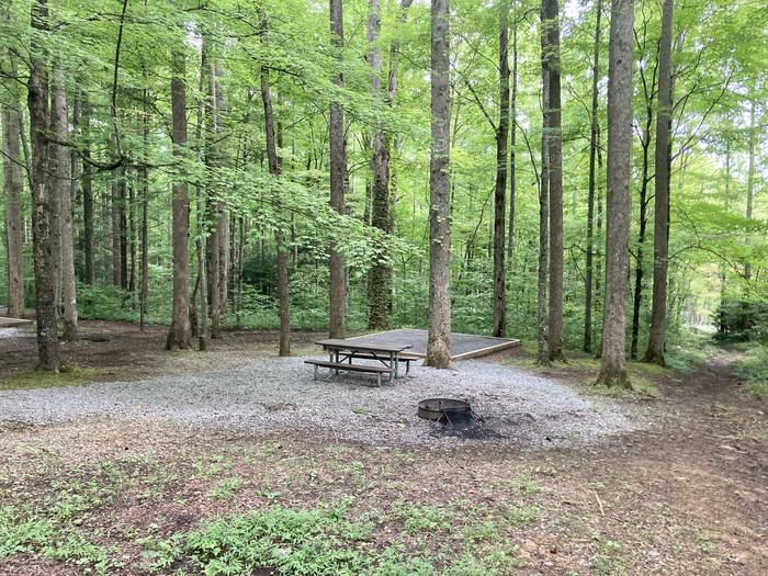 A full photo of Site A14 of Loop A-Loop at COSBY CAMPGROUND with Picnic Table, Fire Pit, Tent PadFull view of A14