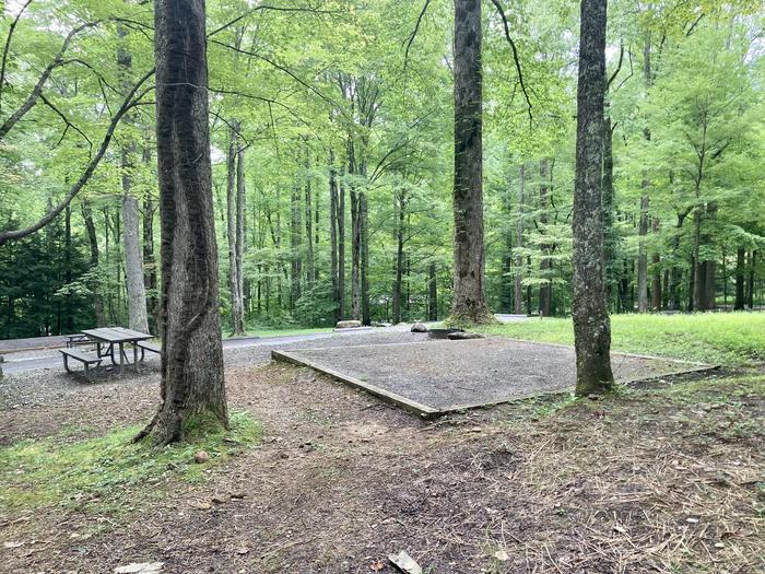 A behind photo of Site A12 of Loop A-Loop at COSBY CAMPGROUND with Picnic Table, Fire Pit, Tent PadView from behind the site 