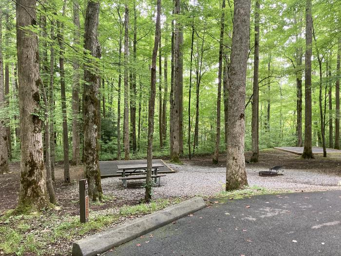 A photo of Site A15 of Loop A-Loop at COSBY CAMPGROUND with Picnic Table, Fire Pit, Tent PadA15 view from the parking space