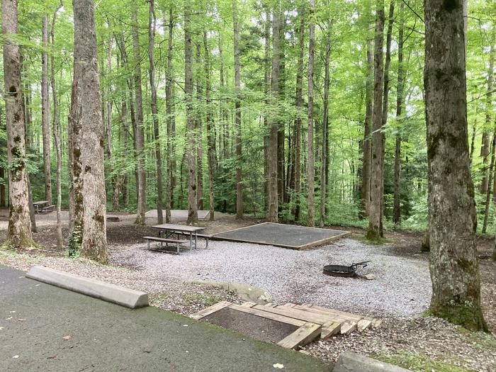 Site A15 stairs Loop A-Loop at COSBY CAMPGROUND with Picnic Table, Fire Pit, Tent PadA photo of Site A15 with the stairs 