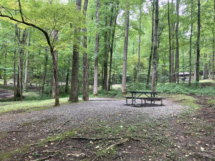 A side photo of Site A05 of Loop A-Loop at COSBY CAMPGROUND with Picnic Table, Fire Pit, Tent PadA side photo of Site A05 