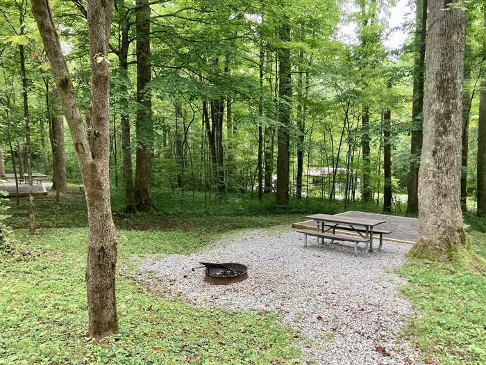 A photo of Site A08 of Loop A-Loop at COSBY CAMPGROUND with Picnic Table, Fire PitView of site A08