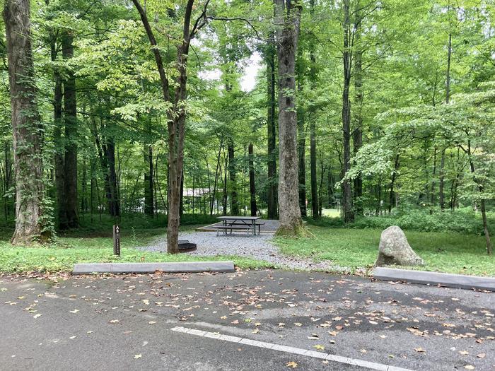 A photo from the road of Site A08 of Loop A-Loop at COSBY CAMPGROUND with Picnic Table, Fire Pit, Tent PadView of the site from the road
