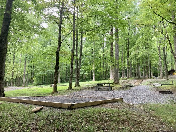 A behind photo of Site A13 of Loop A-Loop at COSBY CAMPGROUND with Picnic Table, Fire Pit, Tent PadView of the campsite from behind 