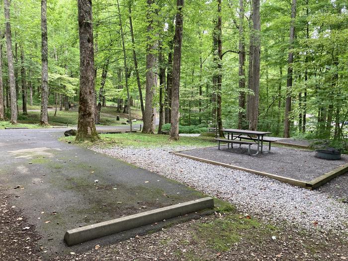 A behind the pull in photo of Site A02 of Loop A-Loop at COSBY CAMPGROUND with Picnic Table, Fire PitView from other side 