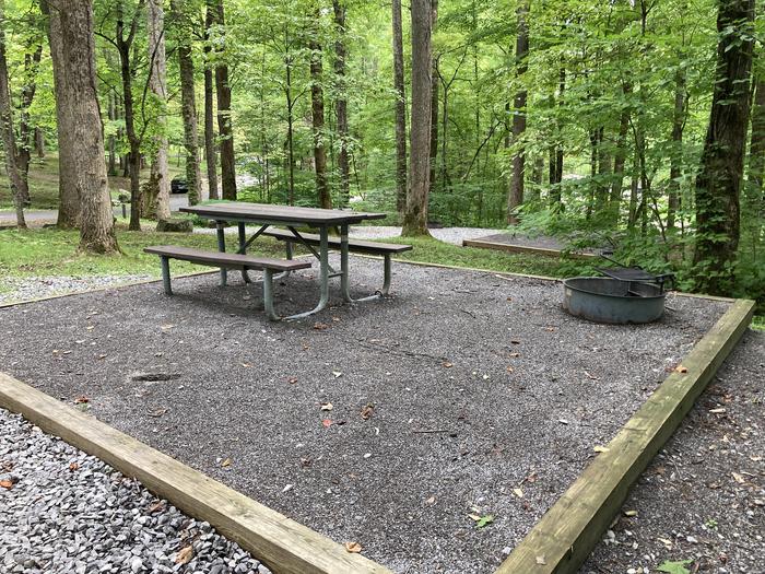 A close up photo of Site A02 of Loop A-Loop at COSBY CAMPGROUND with Picnic Table, Fire PitA close up of the picnic area