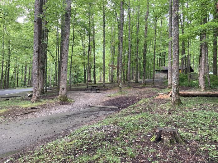 A side photo of Site A17 of Loop A-Loop at COSBY CAMPGROUND with Picnic Table, Fire Pit, Tent PadOverall view of A18, with the pull in and tent pad in the back, with close bathroom access on a paved sidewalk on the very left of the site 