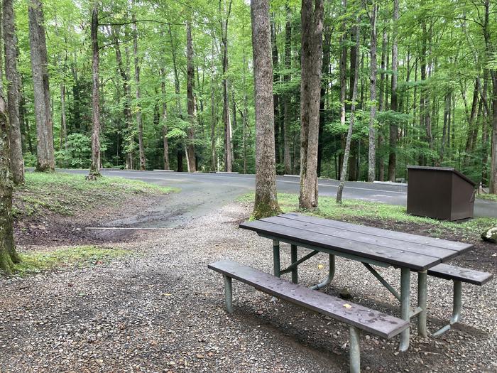 A photo of Site A17 of Loop A-Loop at COSBY CAMPGROUND with Picnic Table, Fire Pit, Tent PadPicnic table and the pull in spot