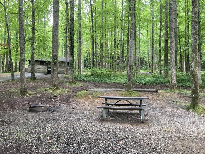 A overview photo of Site A17 of Loop A-Loop at COSBY CAMPGROUND with Picnic Table, Fire Pit, Tent PadThe fire pit and picnic table area above the pull in spot