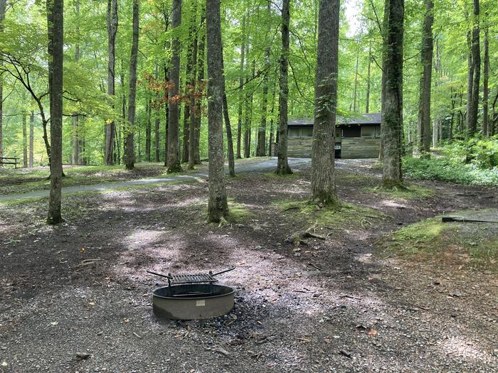 A photo of Site A17 of Loop A-Loop at COSBY CAMPGROUND with Fire PitPaved bathroom walkway by the fire pit 