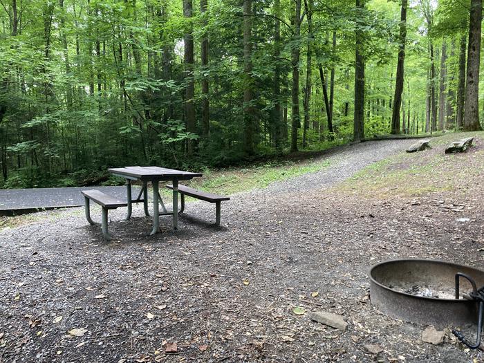 A close up photo of Site A20 of Loop A-Loop at COSBY CAMPGROUND with Picnic Table, Fire Pit, Tent PadA close up of the site 