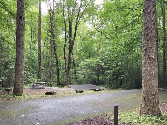 A street view photo of Site A20 of Loop A-Loop at COSBY CAMPGROUND with Picnic Table, Fire Pit, Tent PadView from the street, has the RV parking with tent pad Very private site as there’s none to the left and A19 is separated by some thin woods and brush