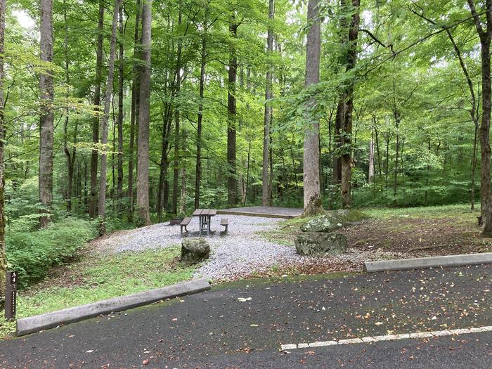A photo of Site A04 of Loop A-Loop at COSBY CAMPGROUND with Picnic Table, Fire Pit, Tent Pad Street viewA04 from the street