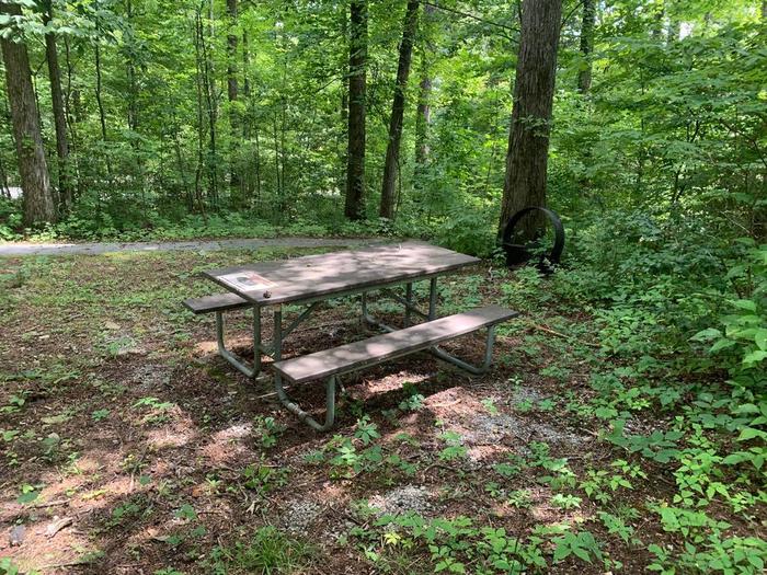 A brown picnic table with a brown circle fire ring surrounded with trees. A-1 camping space.
