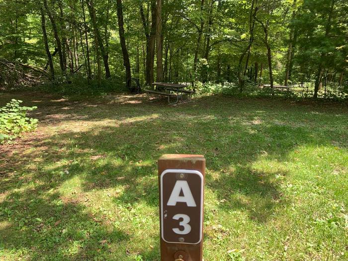 A green grass area with a small brown post.A-3 camping space.