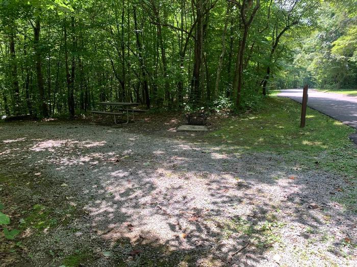A gravel area with a brown circle fire ring and brown picnic table.D-19 camping space.