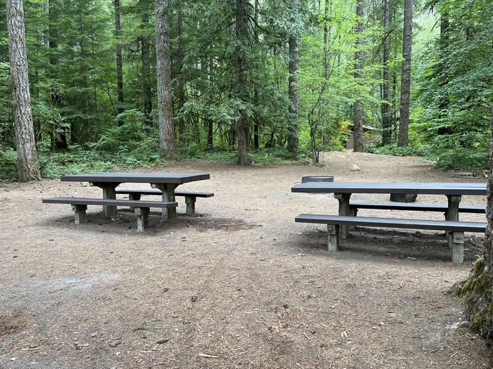 A photo of Site 12 of Loop West at HOOVER CAMPGROUND with Picnic Table, Fire Pit, Tent Pad