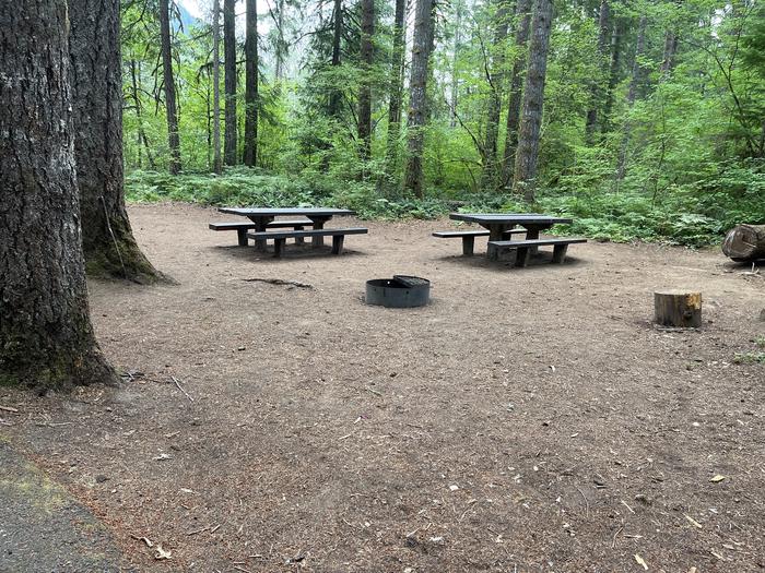 A photo of Site 05 of Loop West at HOOVER CAMPGROUND with Picnic Table, Fire Pit