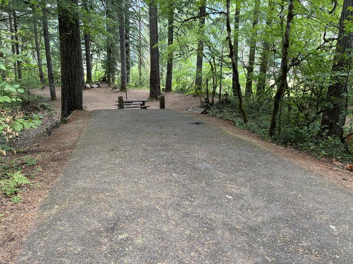 A photo of Site 08 of Loop West at HOOVER CAMPGROUND with Picnic Table, Fire Pit