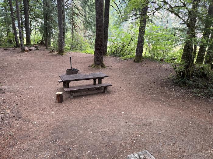 A photo of Site 08 of Loop West at HOOVER CAMPGROUND with Picnic Table, Fire Pit, Tent Pad