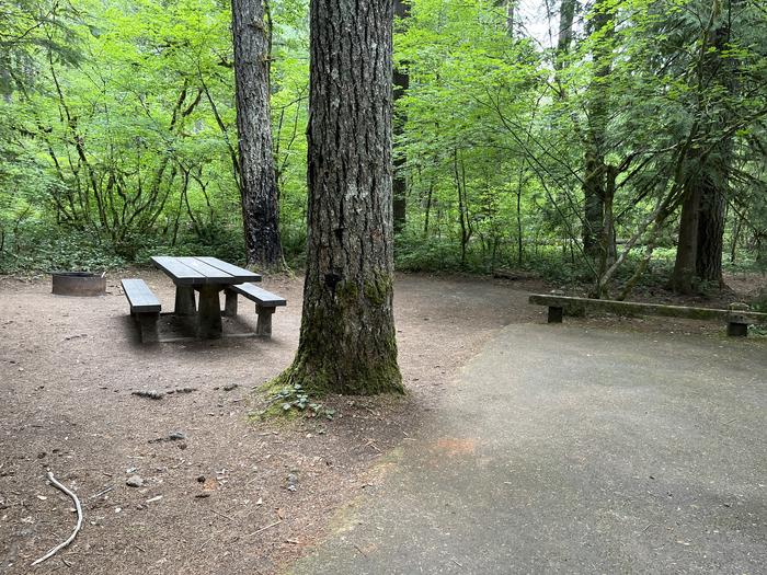 A photo of Site 19 of Loop West at HOOVER CAMPGROUND with Picnic Table, Fire Pit, Tent Pad