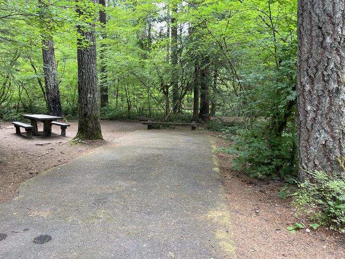 A photo of Site 19 of Loop West at HOOVER CAMPGROUND with Picnic Table