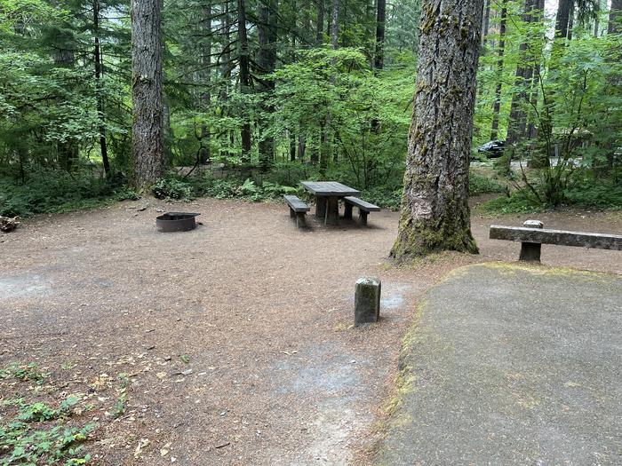 A photo of Site 01 of Loop West at HOOVER CAMPGROUND with Picnic Table, Fire Pit