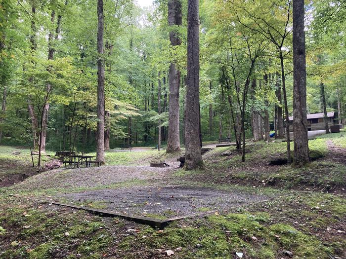 A photo of Site A46 of Loop A-Loop at COSBY CAMPGROUND with Picnic Table, Fire Pit, Tent PadA47 from behind the tent pad