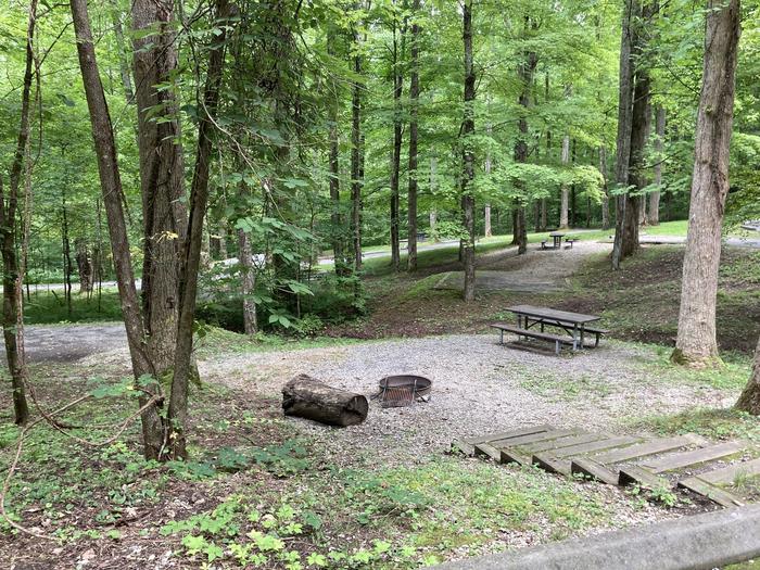 A photo of Site A46 of Loop A-Loop at COSBY CAMPGROUND with Picnic Table, Fire Pit, Tent PadA46 with the stairs