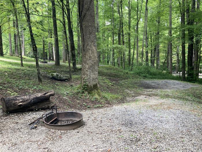 A photo of Site A46 of Loop A-Loop at COSBY CAMPGROUND with Fire Pit, Tent Pad  close upView of the fire pit and tent pad