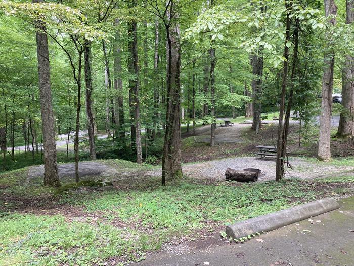A photo of Site A46 of Loop A-Loop at COSBY CAMPGROUND with Picnic Table, Fire Pit, Tent Pad