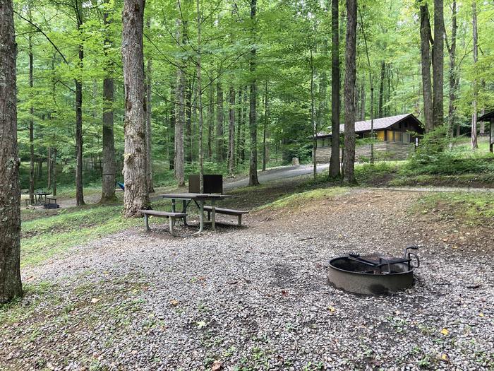 A photo of Site A48 of Loop A-Loop at COSBY CAMPGROUND with Picnic Table, Fire PitPicnic area