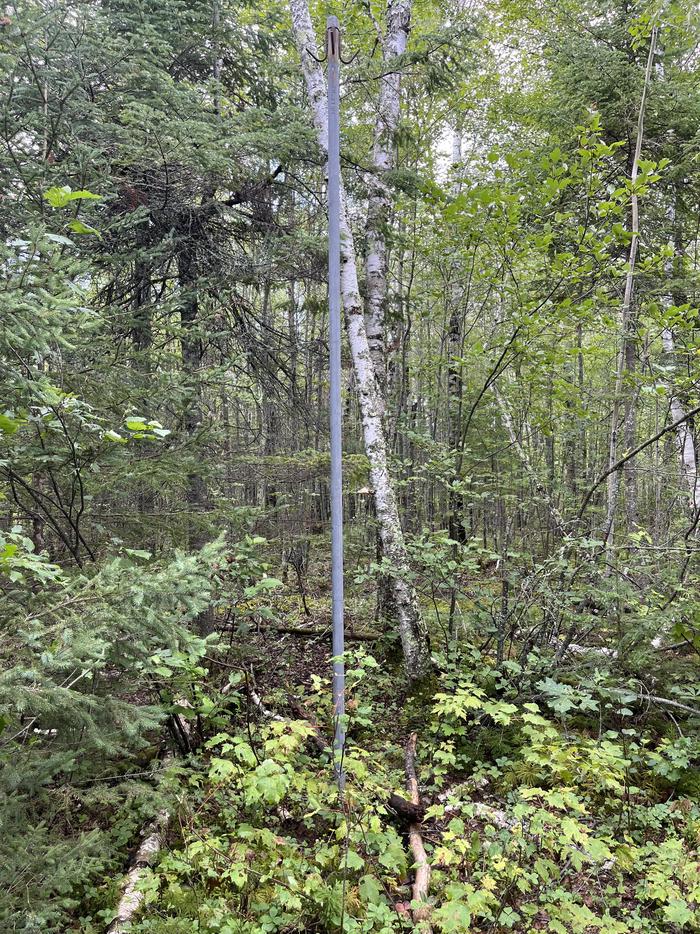 B7 - Jorgens Lake, view of the bear pole at campsite.Bear pole