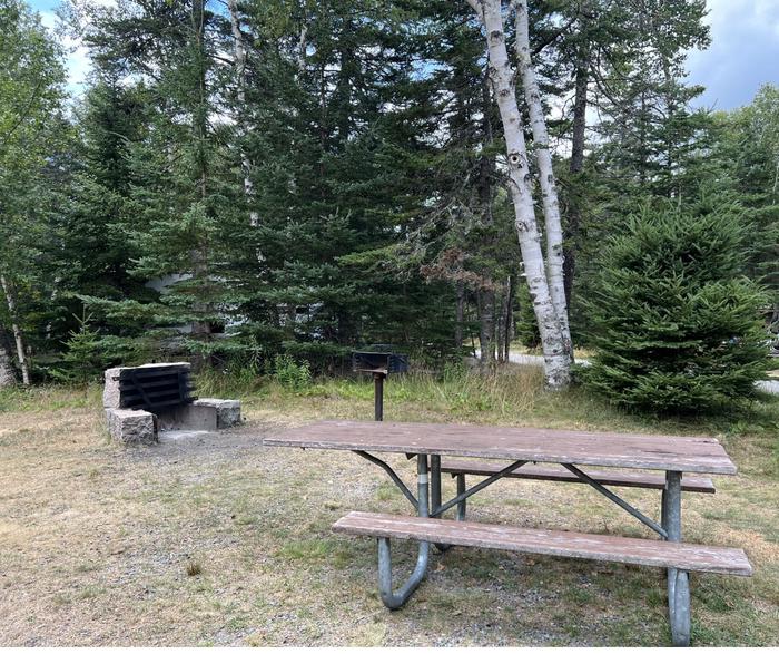 Site C36 with a view of fire pit and free standing grill 