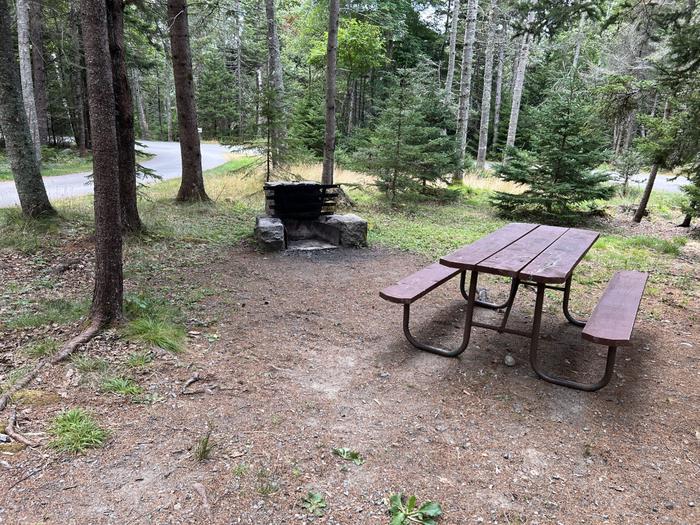 Site C43 close up of fire pit and table. View of campground loop in background