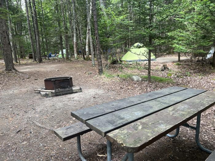 Site D19, picnic table, fire pit and a view of tent pad in background