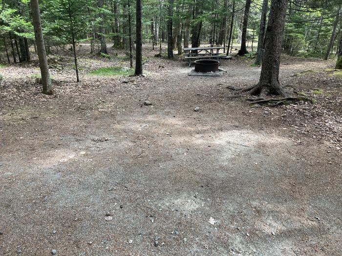 Site D19 looking at tent pad and view of picnic table and fire pit in background