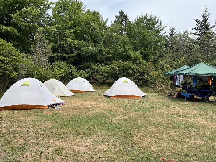 Site G3 with tents and canopy's over fire pits