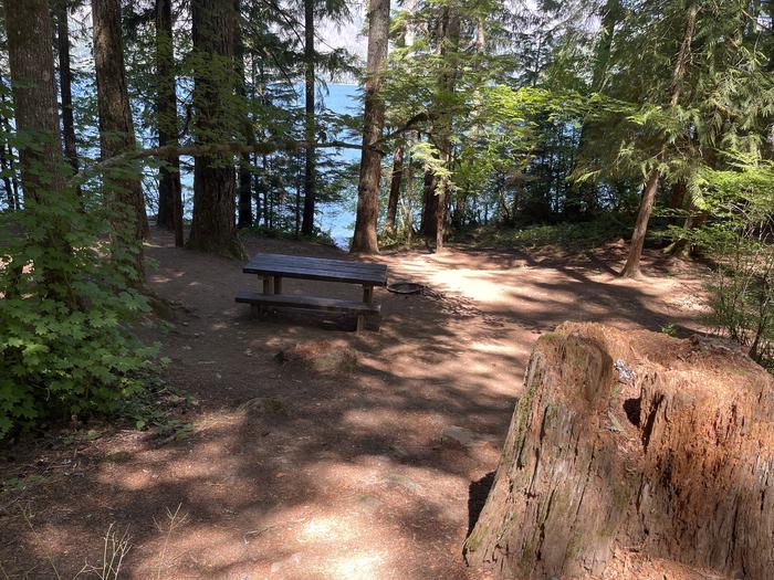 A photo of Site 020 of Loop Loop 2 at SOUTHSHORE AT DETROIT LAKE with Picnic Table, Fire Pit, Shade