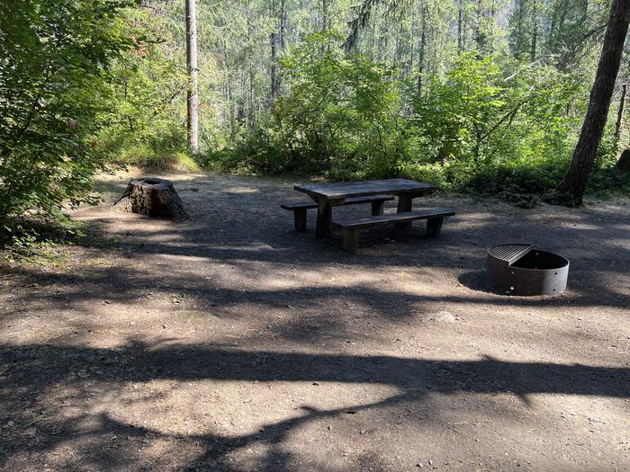 A photo of Site 14 of Loop West at HOOVER CAMPGROUND with Picnic Table, Fire Pit, Tent Pad