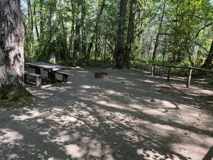 A photo of Site 32 of Loop East at HOOVER CAMPGROUND with Picnic Table, Fire Pit, Shade