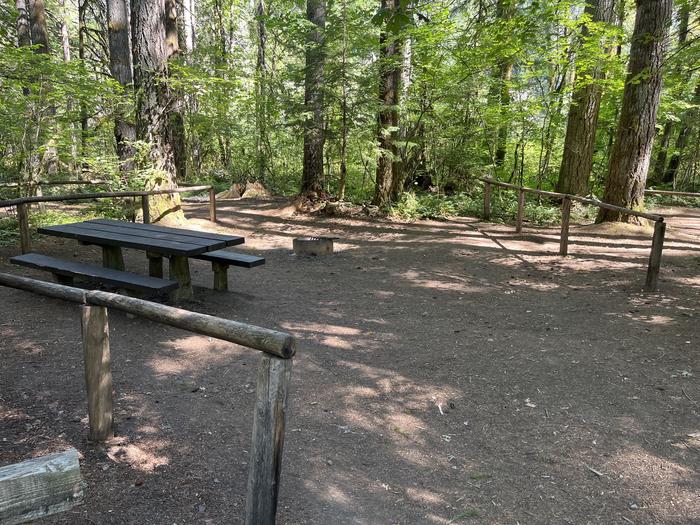 A photo of Site 28 of Loop East at HOOVER CAMPGROUND with Picnic Table, Fire Pit, Shade, Tent Pad