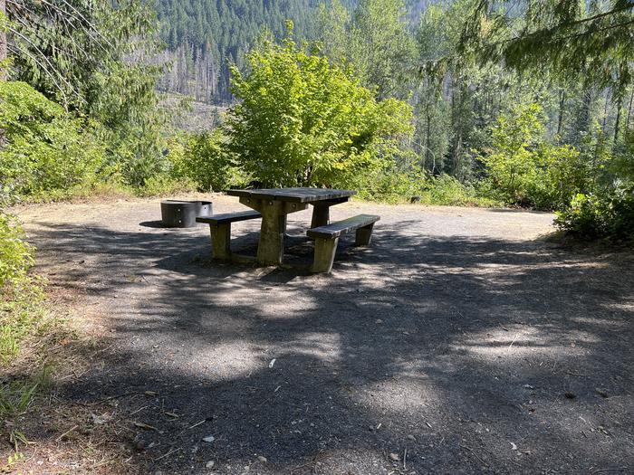 A photo of Site 11 of Loop West at HOOVER CAMPGROUND with Picnic Table, Fire Pit, Tent Pad