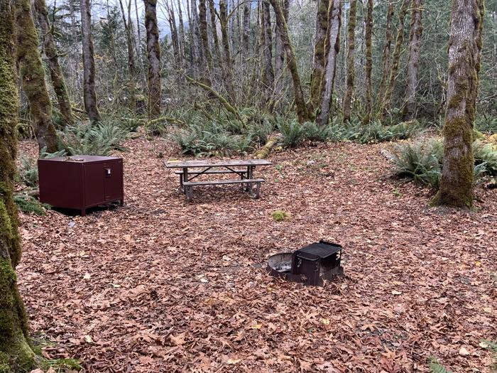 Picnic table, bear box, and fire grate with trees in the background. Campsite in Goodell Creek Campground