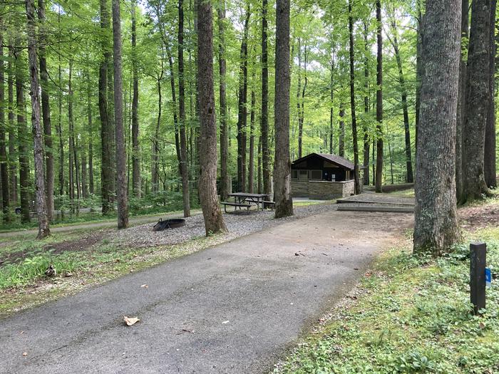 A photo of Site A59 of Loop A-Loop at COSBY CAMPGROUND with Picnic Table, Fire Pit, Tent PadStreet view 