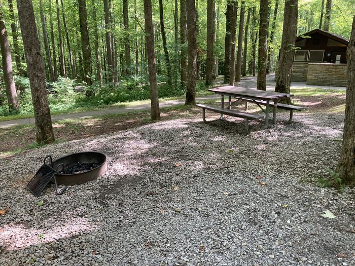 A photo of Site A59 of Loop A-Loop at COSBY CAMPGROUND with Picnic Table, Fire PitPicnic area 