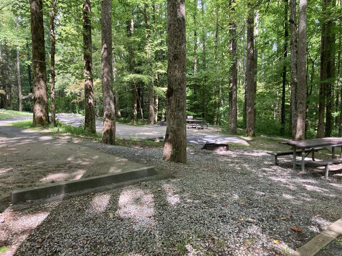A photo of Site A59 of Loop A-Loop at COSBY CAMPGROUND with Picnic Table, Fire PitOverview of the picnic area with the rv pull in